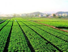 扭矩傳感器與農(nóng)機(jī)應(yīng)用